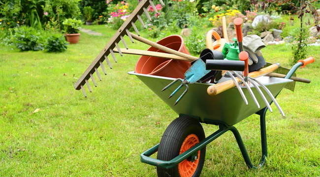 انجام امور باغبانی و نگهداری باغچه مسکونی و ادارات 